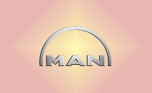 ✓ MAN 51.90490-0022 Болт 